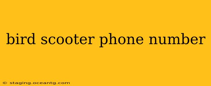 bird scooter phone number