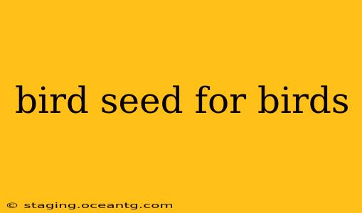 bird seed for birds