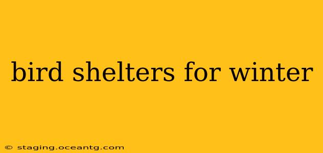 bird shelters for winter