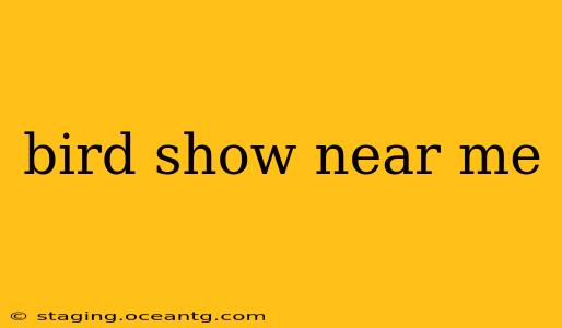 bird show near me