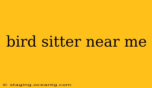 bird sitter near me