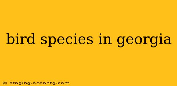 bird species in georgia