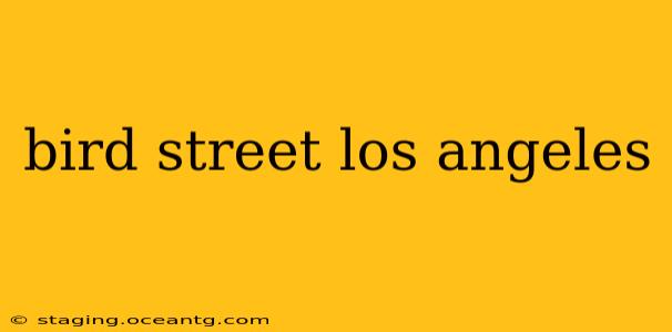 bird street los angeles
