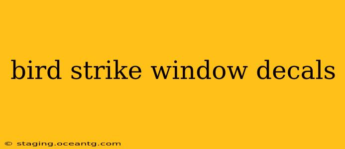 bird strike window decals