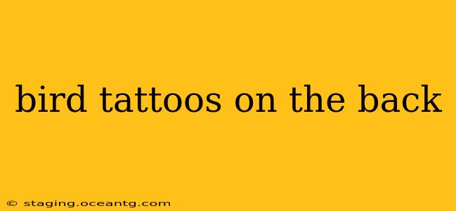 bird tattoos on the back