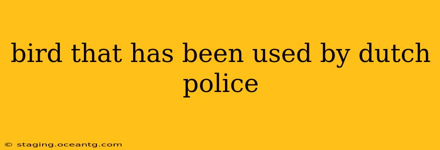 bird that has been used by dutch police