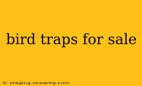 bird traps for sale