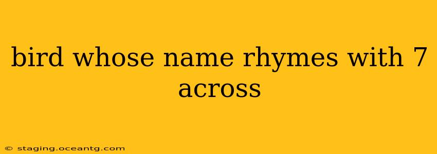 bird whose name rhymes with 7 across