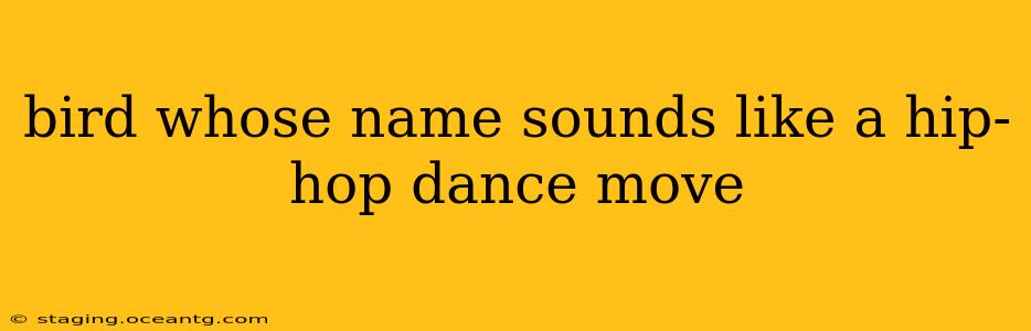 bird whose name sounds like a hip-hop dance move