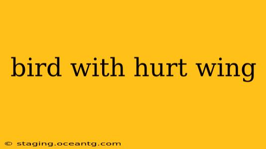 bird with hurt wing