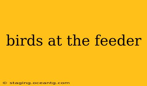 birds at the feeder