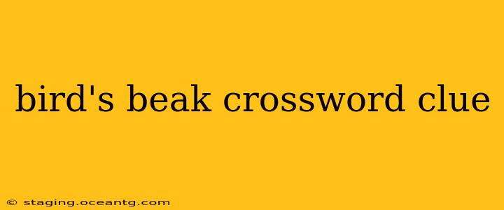 bird's beak crossword clue