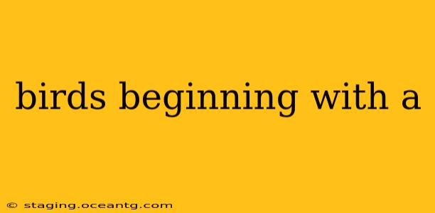 birds beginning with a