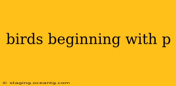 birds beginning with p