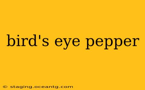 bird's eye pepper