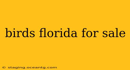 birds florida for sale