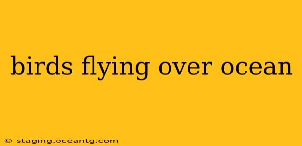 birds flying over ocean