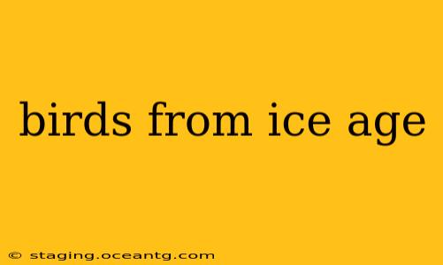 birds from ice age