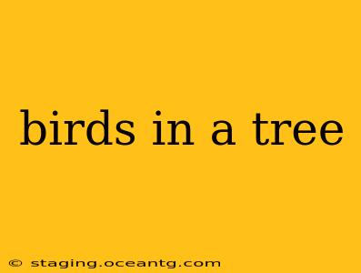 birds in a tree