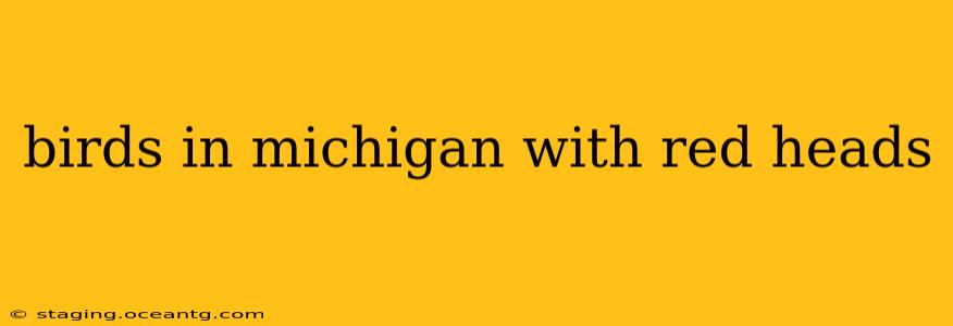 birds in michigan with red heads