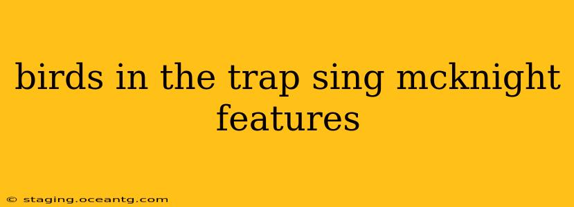birds in the trap sing mcknight features
