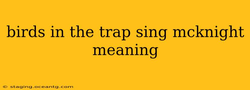 birds in the trap sing mcknight meaning