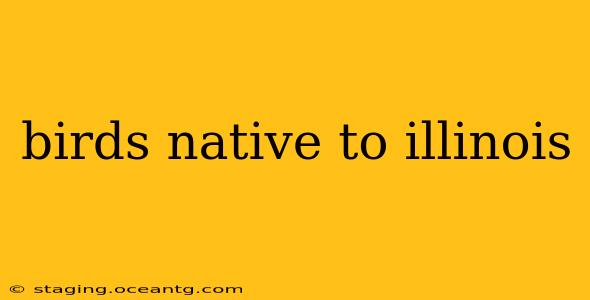 birds native to illinois
