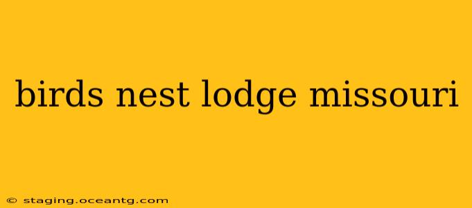 birds nest lodge missouri