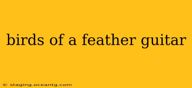 birds of a feather guitar