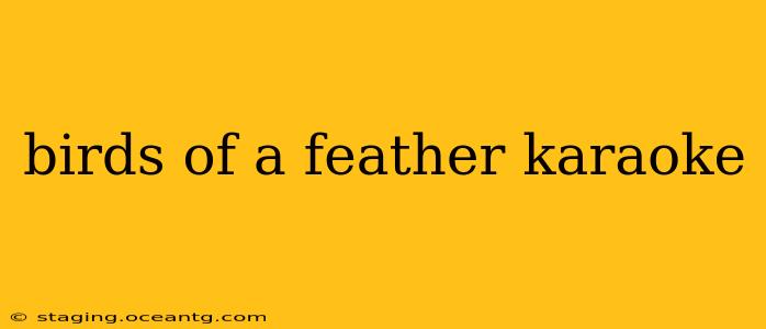 birds of a feather karaoke
