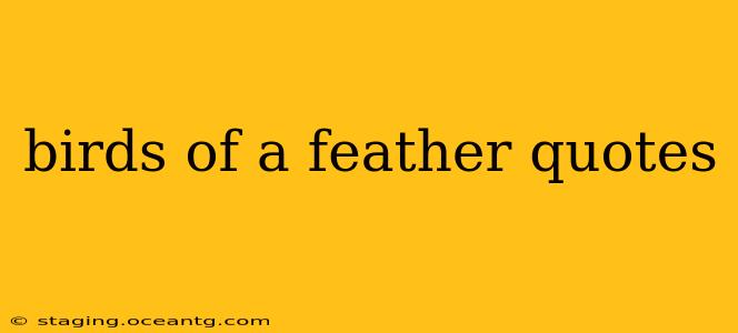 birds of a feather quotes