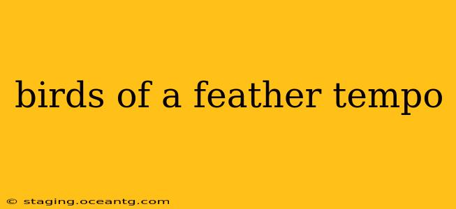 birds of a feather tempo