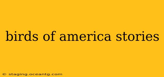 birds of america stories
