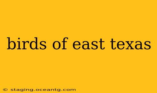birds of east texas