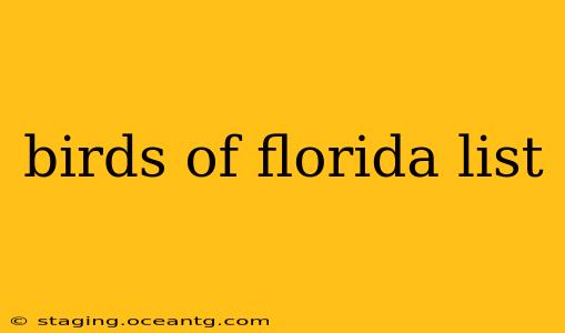 birds of florida list