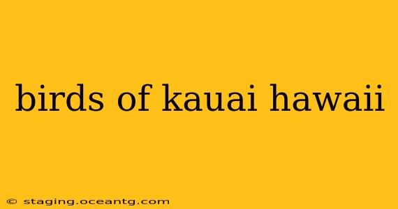 birds of kauai hawaii