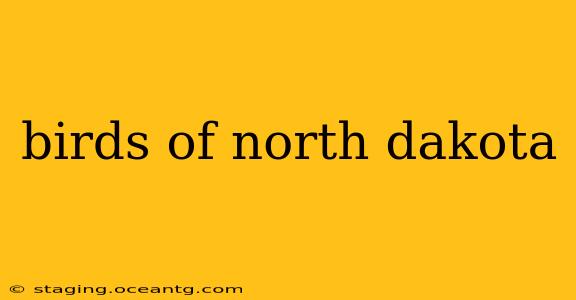 birds of north dakota
