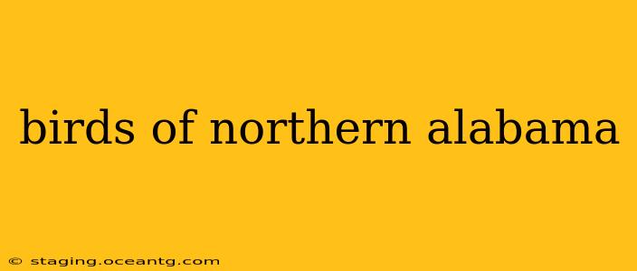 birds of northern alabama