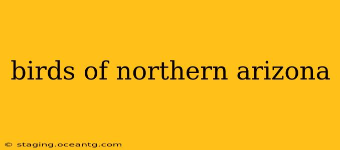 birds of northern arizona