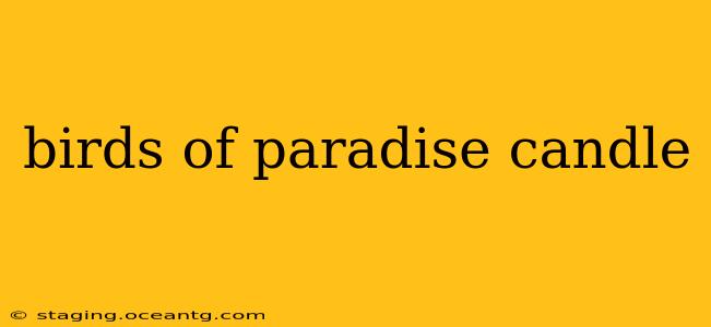 birds of paradise candle