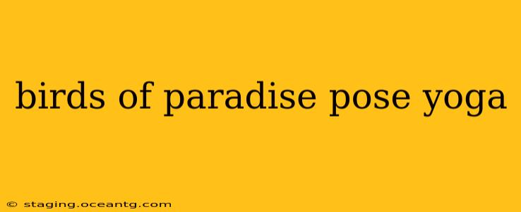 birds of paradise pose yoga