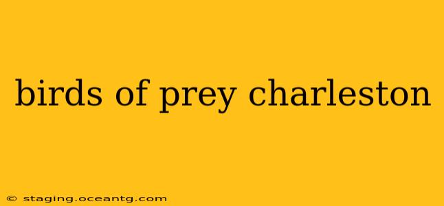 birds of prey charleston