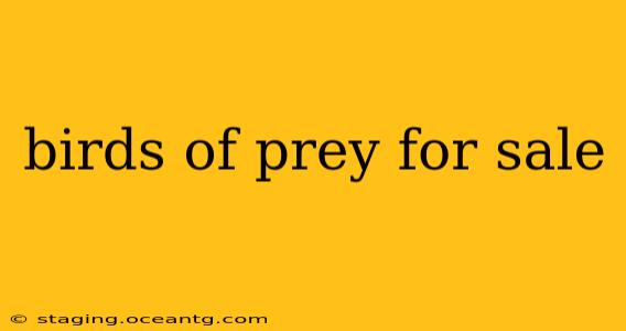 birds of prey for sale