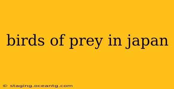 birds of prey in japan