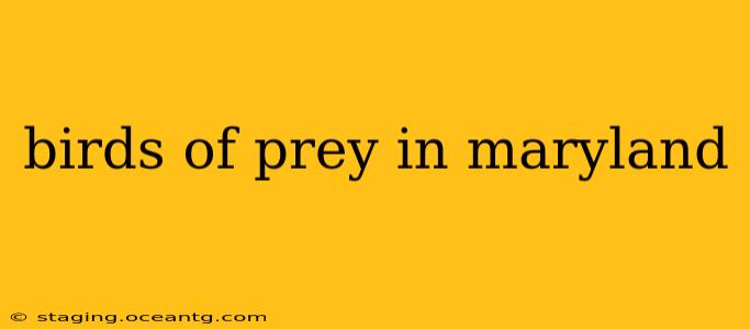 birds of prey in maryland
