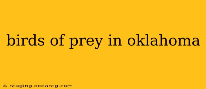 birds of prey in oklahoma