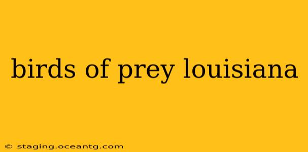 birds of prey louisiana
