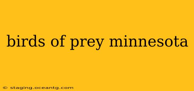 birds of prey minnesota