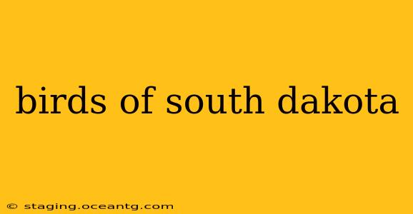 birds of south dakota