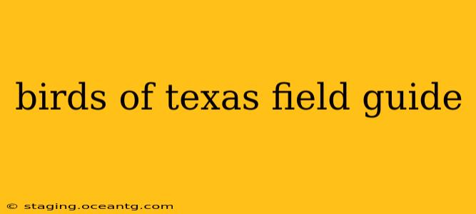 birds of texas field guide